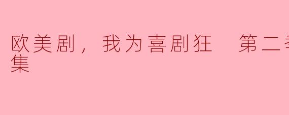 欧美剧，我为喜剧狂 第二季，全15集